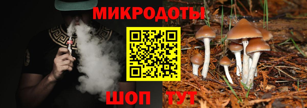 где продают   Псилоцибиновые грибы Psilocybe  Вход с VPN  Егорьевск 